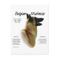 Belgian Malinois History Design