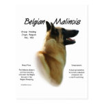 Belgian Malinois History Design Postcard