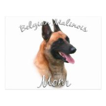 Belgian Malinois Mom 2 Post Card