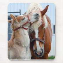 belgian Mare and Filly Mouse Pad