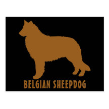 Belgian Sheepdog Postcards