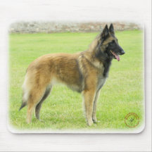 Belgian Shepherd 9Y024D-008 Mouse Pads