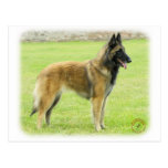 Belgian Shepherd 9Y024D-008 Post Cards