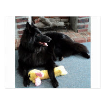 Belgian Shepherd by the Fireplace Postcard