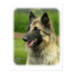 Belgian Shepherd Dog 8W51D-14 Postcard