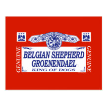 Belgian Shepherd Groenendael Post Cards