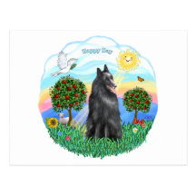 Belgian Shepherd / Sheepdog Postcards