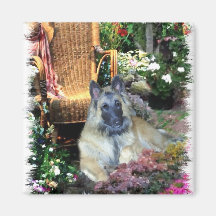Belgian Tervuren Art Gifts Magnet