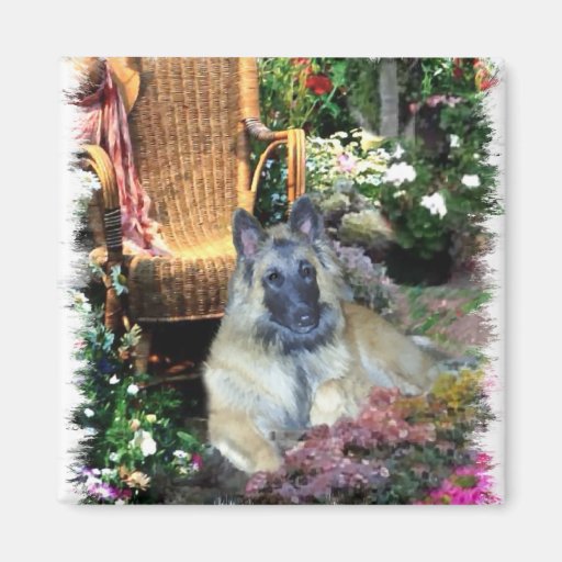 Belgian Tervuren Art Gifts Magnet