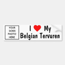 Belgian Tervuren Bumper Sticker
