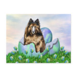 Belgian Tervuren Easter