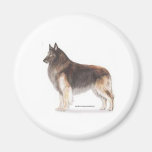 Belgian Tervuren Fridge Magnet