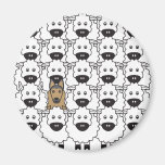 Belgian Tervuren in the Sheep Refrigerator Magnets