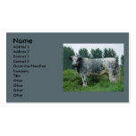 BelgianBlueCow Business Card Templates