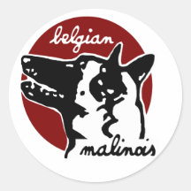 belgium.malinois autocollants