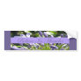Believe Bumper Sticker
