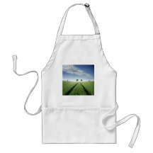 Believe in Your Destiny Apron