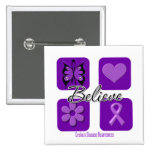 Believe Inspirations Crohn's Disease Pins