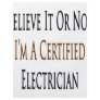 Believe It Or Not I'm A Certified Electrician Personalized Flyer