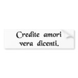 Believe love speaking the truth. bumper sticker
