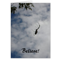 Believe! - spider notecard