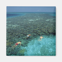 Belize, Barrier Reef, Lighthouse Reef, Blue Fridge Magnet