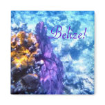Belize! Purple Sea Fan