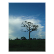 Belizian Sky Photo Art