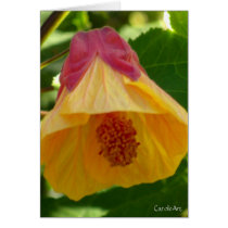 Bell Flower Pink