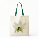 Bell Pepper flower ~ bag