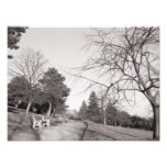 Bell Vue Park, Newport, Mon (Dec 1977) Photographic Print