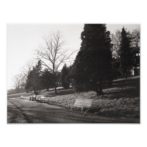 Bell Vue Park, Newport, Mon (Dec 1977) Photographic Print