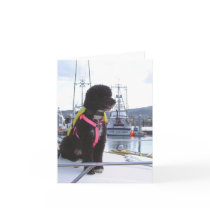 Bella and the Dog Catcher Greeting Cards