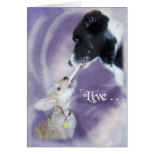 Bella&Buddy Cards