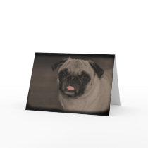 Bella Donna Greeting Card