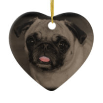 Bella Donna Pug Christmas Ornament