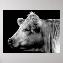 Bella Plakatdruck