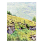 Belle campagne écossaise carte postale