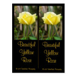 Belle carte postale de signet de rose jaune