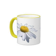 BELLE MARGUERITE - ASTERACEAE - TOURNESOL MUG