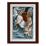 Bellerophon on Pegasus Postcards