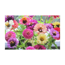 Belles copie de toile étirée de Zinnia par fleurs Toiles Tendues Sur Châssis