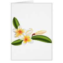 Belles fleurs de frangipani ou de plumeria cartes