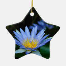 Belles fleurs et signification de lotus ornement