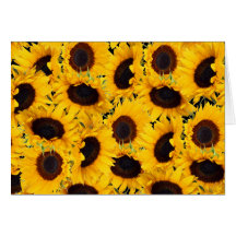Belles impressions florales vibrantes de nature de carte