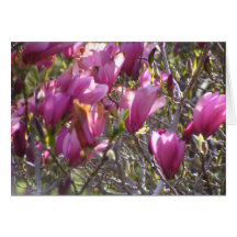 Bells Card