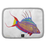 Bell's Flasher Wrasse Reef Fish Rickshaw Folio Folio Planner