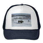 Belted Galloway Cow in a Snowy Landscape Hats