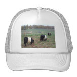 Beltie Cow Herd Along a Trail Trucker Hat