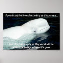 BELUGA posters